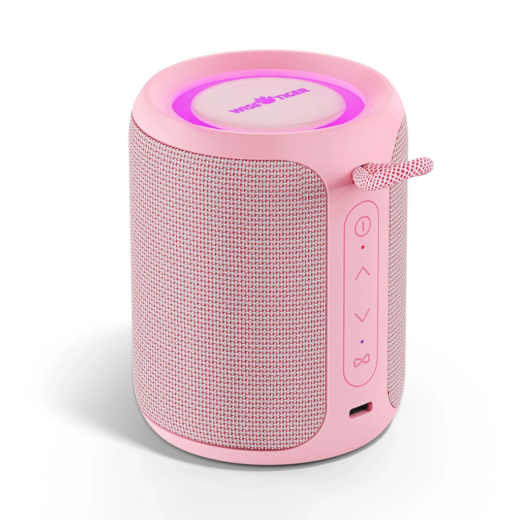 Wise Tiger P1S Portable Bluetooth Speaker – Waterproof, 25W