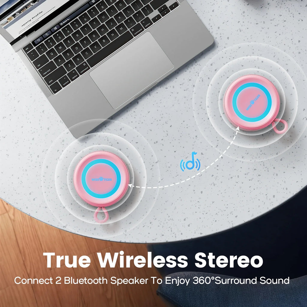 Wise Tiger P1S Portable Bluetooth Speaker – Waterproof, 25W