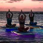 SPECTRUM P2 LIGHTING SYSTEM